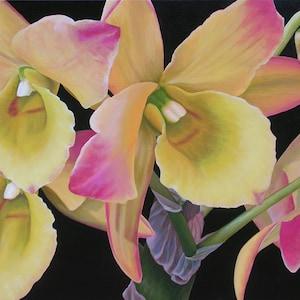 Orchid Smile  24" x 36" Original Acrylic Painting on Canvas, Artwork Home, Horizontal Flower Close up, Living room Decor, Yellow Orchids