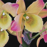 Orchid Smile  24" x 36" Original Acrylic Painting on Canvas, Artwork Home, Horizontal Flower Close up, Living room Decor, Yellow Orchids