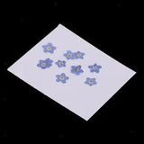 10pcs Pressed Real Dried Flowers for Resin Ornament Jewelry