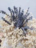 Dried Lavender Flowers Baby Breath Bundles 100% Natural Bouquet for Home decor