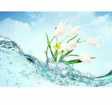 DIY Diamond Painting Flower In The Water Lovely Design Portrait House Embroidery