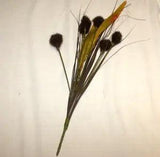 Dried Flower Seed Pods 6 Stems DIY Crafts Fall Harvest Brown Artificial