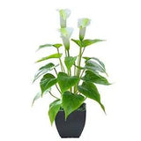 Artificial Flower Calla Lily Faux Small Potted Plant with White Fake Flower