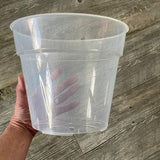 9??? large round ultra clear orchid pot, Clear plastic pot, Plastic flower pot for orchids, Clear pot for large tropicals, Aroid nursery pot