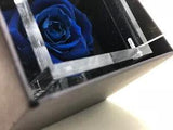 Preserved flowers