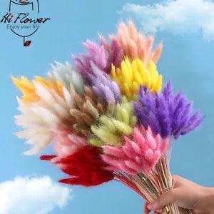 Real Natural Floral Dried Flowers Bunny Rabbit Tail Grass Bouquet Props Decors