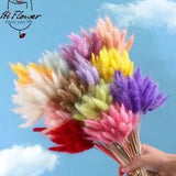 Real Natural Floral Dried Flowers Bunny Rabbit Tail Grass Bouquet Props Decors