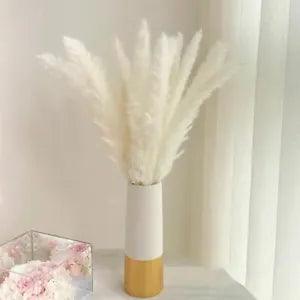 Bulrush Natural Dried Flowers Artificial Plants Branch Colorful Pampas Grass Phr