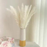 Bulrush Natural Dried Flowers Vibrant Pampas Grass Bouquet for Stunning Wedding