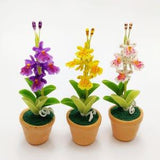 Dollhouse Miniature Realistic Handcrafte 3 Orchids in Terracotta Pots Fairy Garden Ornament Tree Flower Plant Supply Decor