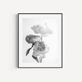 Black and White Peony Bouquet Print, Flower Art, Wall Art Prints, Floral Prints, Flower Photography, Peony Prints, Botanical Prints