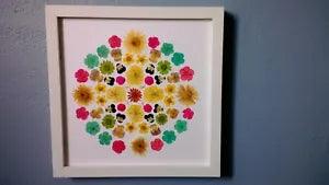 real pressed flower art mandala framed