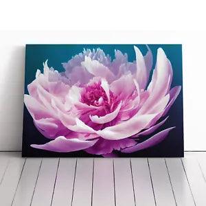 Unbelievable Peony Flower Canvas Print Wall Art Framed Picture Home Decor Large