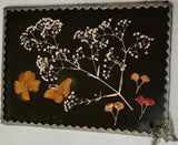 Rare Antique Genuine Dried Flowers In A Scalloped Metal With Glass Frame