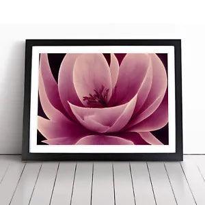 Gracious Carnation Flower Abstract Framed Wall Art Poster Print Picture Large