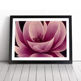 Gracious Carnation Flower Abstract Framed Wall Art Poster Print Picture Large
