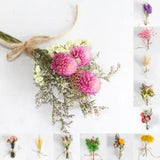 Natural Dried Flower Gypsophila Bouquet Bunch Wedding Party Home Floral Decor