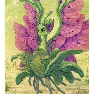 Caimwind ORIGINAL  12 July 2021 - Orchid Fae