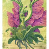 Caimwind ORIGINAL  12 July 2021 - Orchid Fae