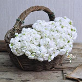 Bright white One Bundle Artificial Silk Mini Ranunculus Artificial 6 Stems Silk Ranunculus Buds for wedding home decor