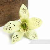 Petite Suede Finish 'Christina' Wired Orchid Hat Mount for Millinery - Citrus
