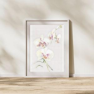 Botanical Watercolor Wall Art Of White and Pink Orchids With Green Stems