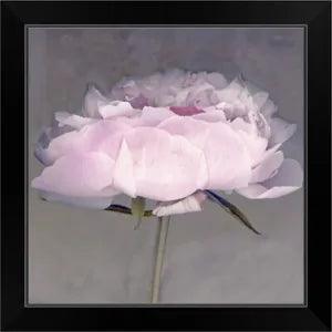 Jolie Black Framed Wall Art Print, Peony Home Decor
