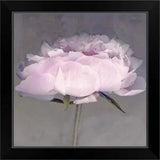 Jolie Black Framed Wall Art Print, Peony Home Decor