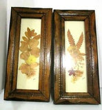 2 Vintage Dried Pressed Flowers Wooden Picture Frames Signed Joan 15" X 7"