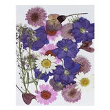 Dried Pressed Flowers Natural Leave Real Pressed Flowers Purple Series