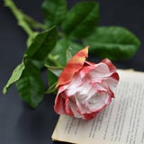 Cold porcelain rose, Real touch flowers, artificial rose, rose for Gift or home decor, Polymer clay roses, Yellow red rose, Bouquet for home