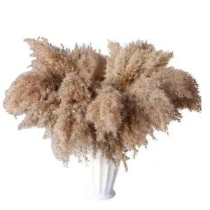 30 Stems Dried Pampas Grass,Wild Pampas Grass  Pampas Floral,17 Inch Bulk PM1