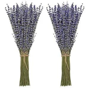 Dried Lavender Bundles 100% Natural Dried Lavender Flowers for Home
