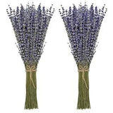 Dried Lavender Bundles 100% Natural Dried Lavender Flowers for Home