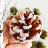 5PCS 5-6cm Natural Pinecone Hairy Pine Cone Dried Flowers DIY Xmas Ornament Prop