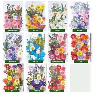Dried Flower Dry Plants Candle Making Craft DIY