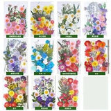 Dried Flower Dry Plants Candle Making Craft DIY