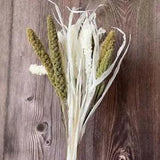 Dry Plant Millet Spike Bouquet-Natural Decorative Flowers Millet Rice Home Decor