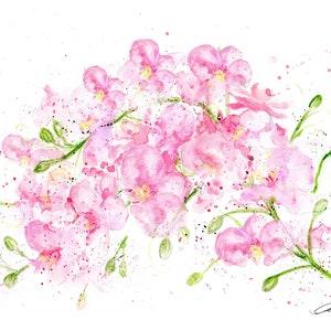 Orchid print. Orchid wall art. Orchid  art. Orchid wall decor. Orchid gift. Orchid watercolour.  Garden gift. Garden art.