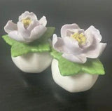 Vintage Porcelain Peony Flower Salt And Pepper Shakers