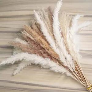 Natural Dried Pampas Grass White Brown Reed Boho Wedding Flower Home Decoration