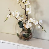 White Orchid Arrangement in Moon Vase