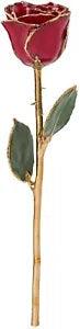 Forever Rose, Genuine Real Rose, Hand Dipped in Lacquer and Trimmed in 24K Gold
