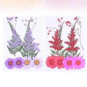20 Pcs Flower Specimen Dried Flowers Nail Art Muicle Plants Natural