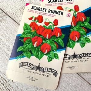 Vintage seed packs, Scarlet runner, unused NOS envelope, Ephemera For Botanical junk journal