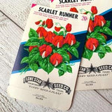 Vintage seed packs, Scarlet runner, unused NOS envelope, Ephemera For Botanical junk journal
