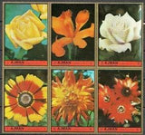 Ajman 1972 Flowers Roses Lily Chrysanthemum Plants Nature 6v set MNH