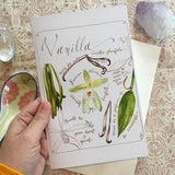 Vanilla planifolia Grimoire Page Greeting Card or Print - Kitchen Magic - Plant Magic - Kitchen witchery - Plant Folklore