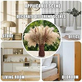 NEW LISTINGPcs Pampas Grass Boho Home Decor 17 inch Natural Dried Flowers-Pampas Grass 100
