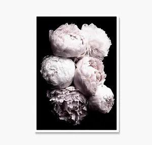 Pink Peony Print, Peony Poster, Peony Wall Art, Pink Peonies Print, Flower Art